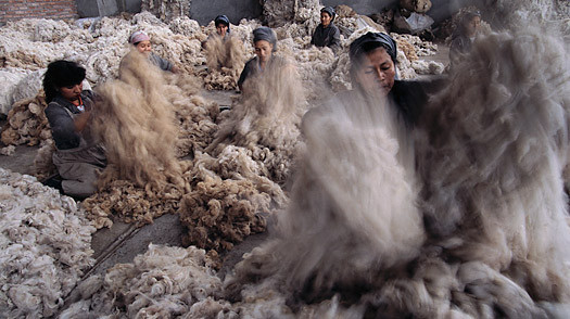 Wool Being Sorted in Lima - What Is Alpaca